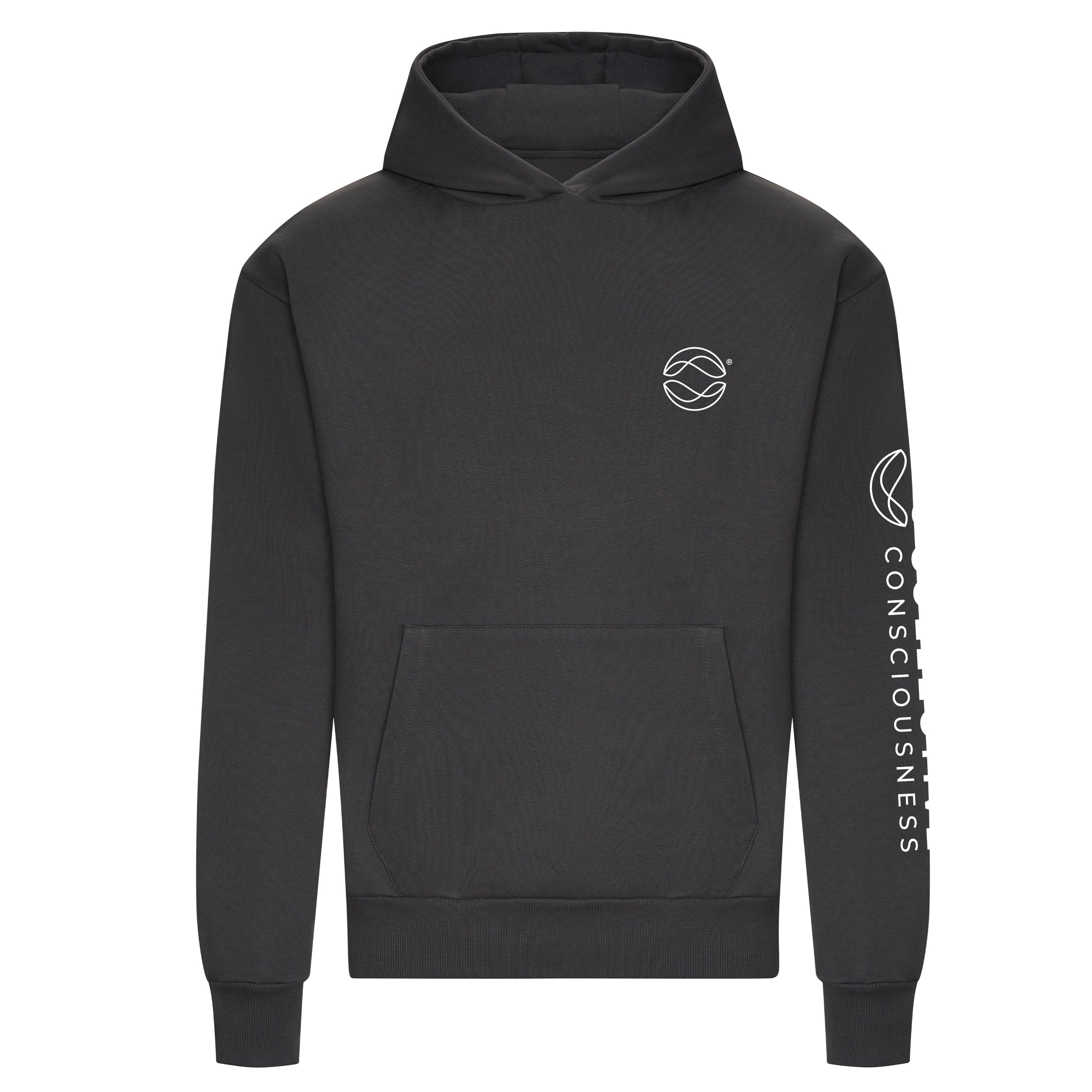 Globe Icon Heavyweight Solid Charcoal Signature Hoodie