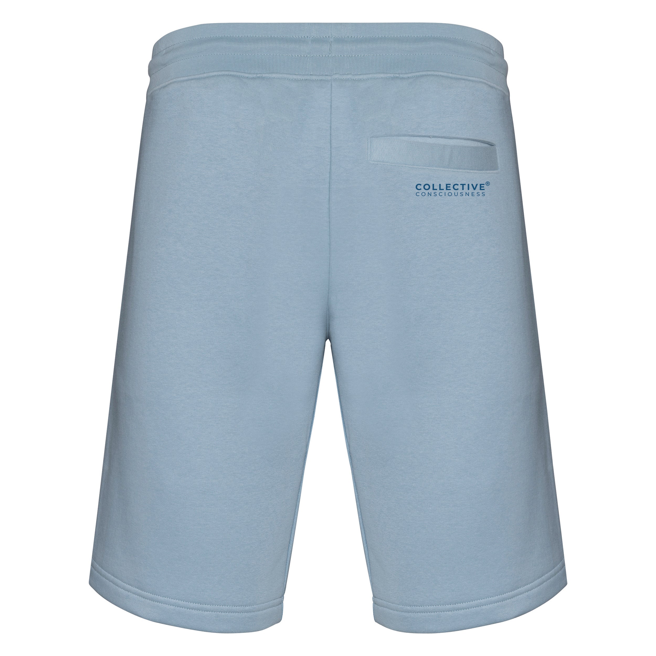 Active Shorts Aquamarine - Globe Icon Signature